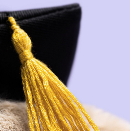 Bashful Bunny Graduation Outfit by Jellycat